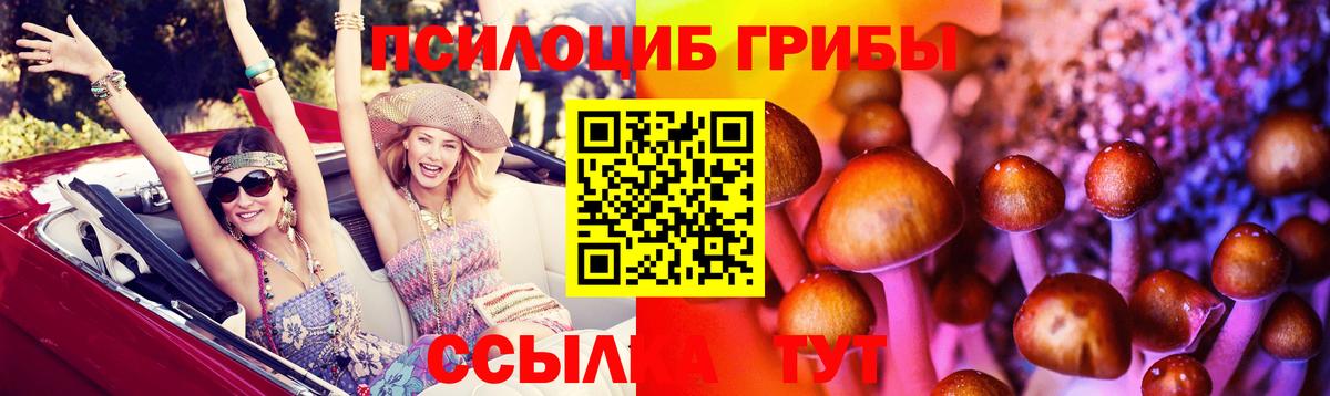 Псилоцибиновые грибы Magic Shrooms Белгород